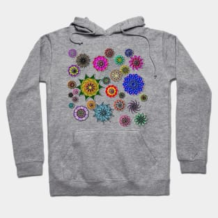 Colourful Abstract Flowers Hoodie